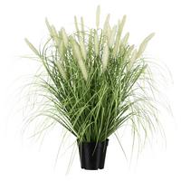 Umělá rostlina Výška 65 cm - černá/zelená, Basics, plast (65cm)