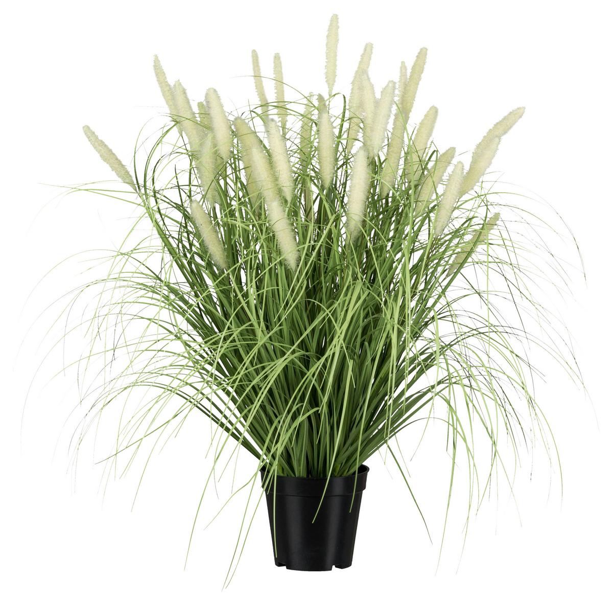Umělá rostlina Výška 65 cm - černá/zelená, Basics, plast (65cm)