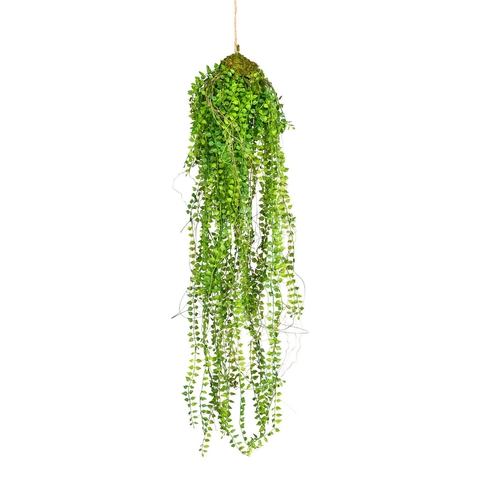 Kunstpflanze H: 70 Cm - Grün, Basics, Kunststoff (70cm) - P & B