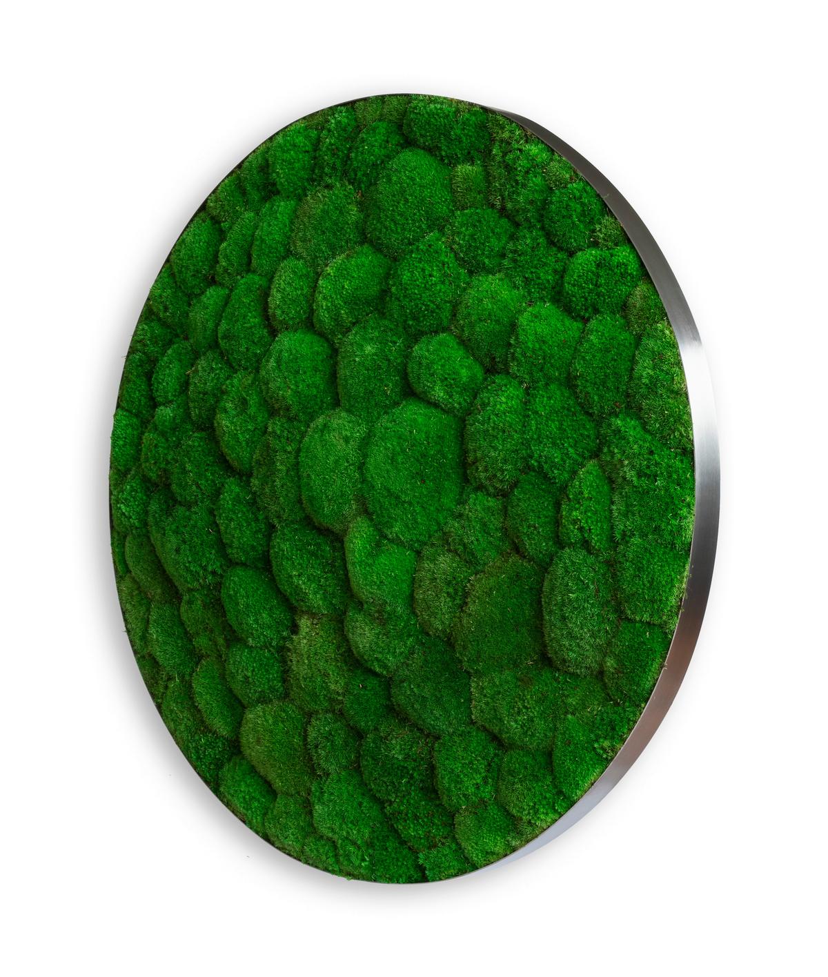 Moosbild Grün B: 80 cm - Grün, Basics, Naturmaterialien/Metall (80/15cm)