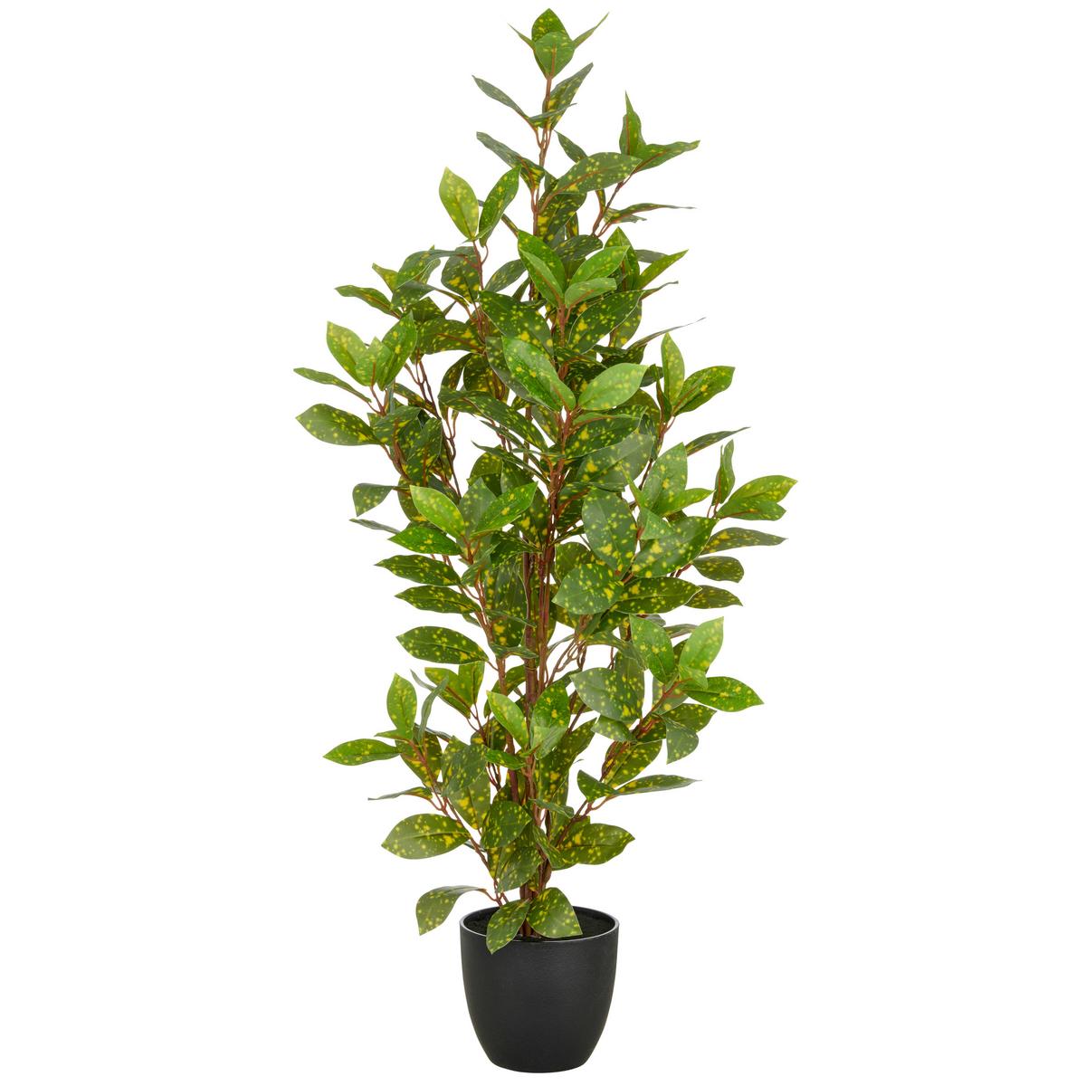 Kunstpflanze Acuba Kunststoff, Grün, H: 90 Cm - Schwarz/Braun, Basics, Kunststoff (90cm) - P & B