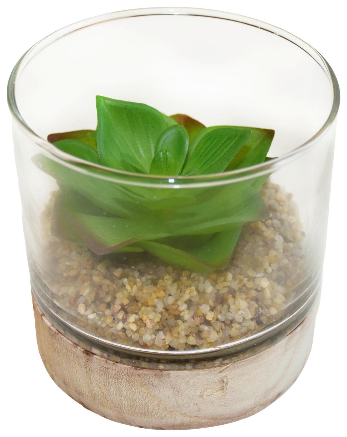 Umelá rastlina Sukulent, 10/10cm - zelená, Basics, drevo/plast (10/10cm) - Modern Living