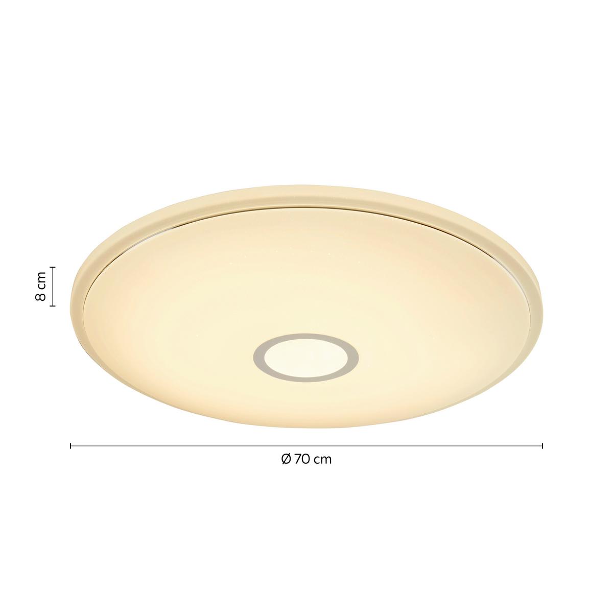Stropní LED svítidlo Ross Ø 40cm 16 Watt - bílá, Konvenční, kov/plast (40/9cm) - Premium Living