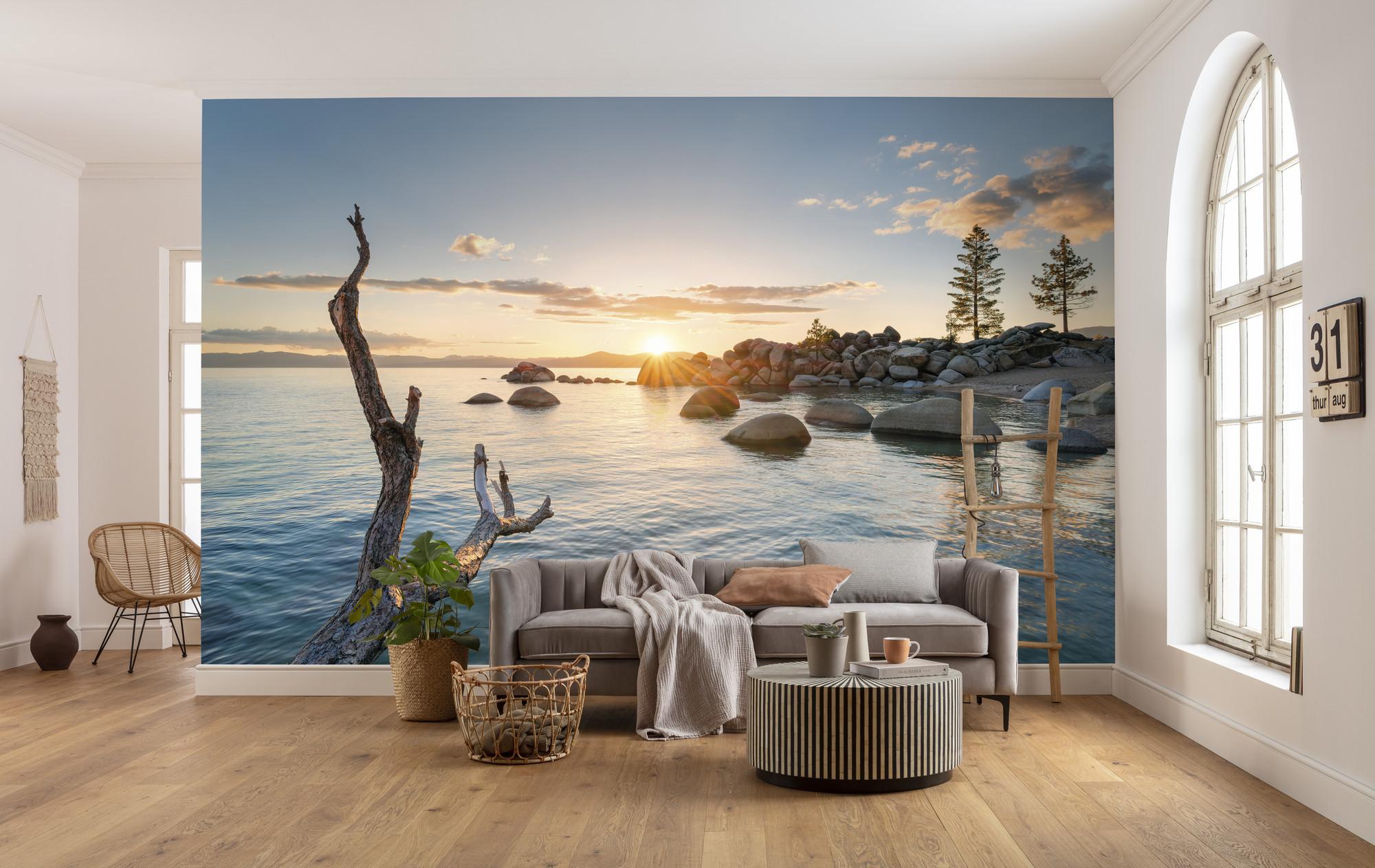 Fototapete Final Light - Multicolor, Trend, Textil (450/280cm)