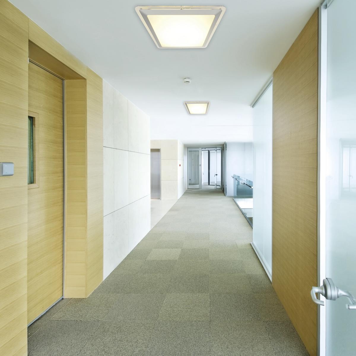LED-Deckenleuchte Ø 33,5 cm, Silberfarben - Silberfarben, Basics, Kunststoff/Metall (33,5cm) - Näve