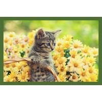 Lábtörlő Kb. 40/60cm - többszínű, Basics, textil (40/60cm)