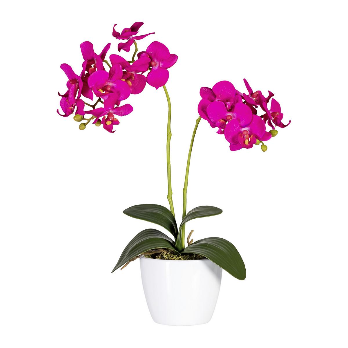 Kunstpflanze Orchidee Bunt H: 40 cm Im Topf, Sofie - Lila/Weiß, KONVENTIONELL, Keramik/Kunststoff (40cm)