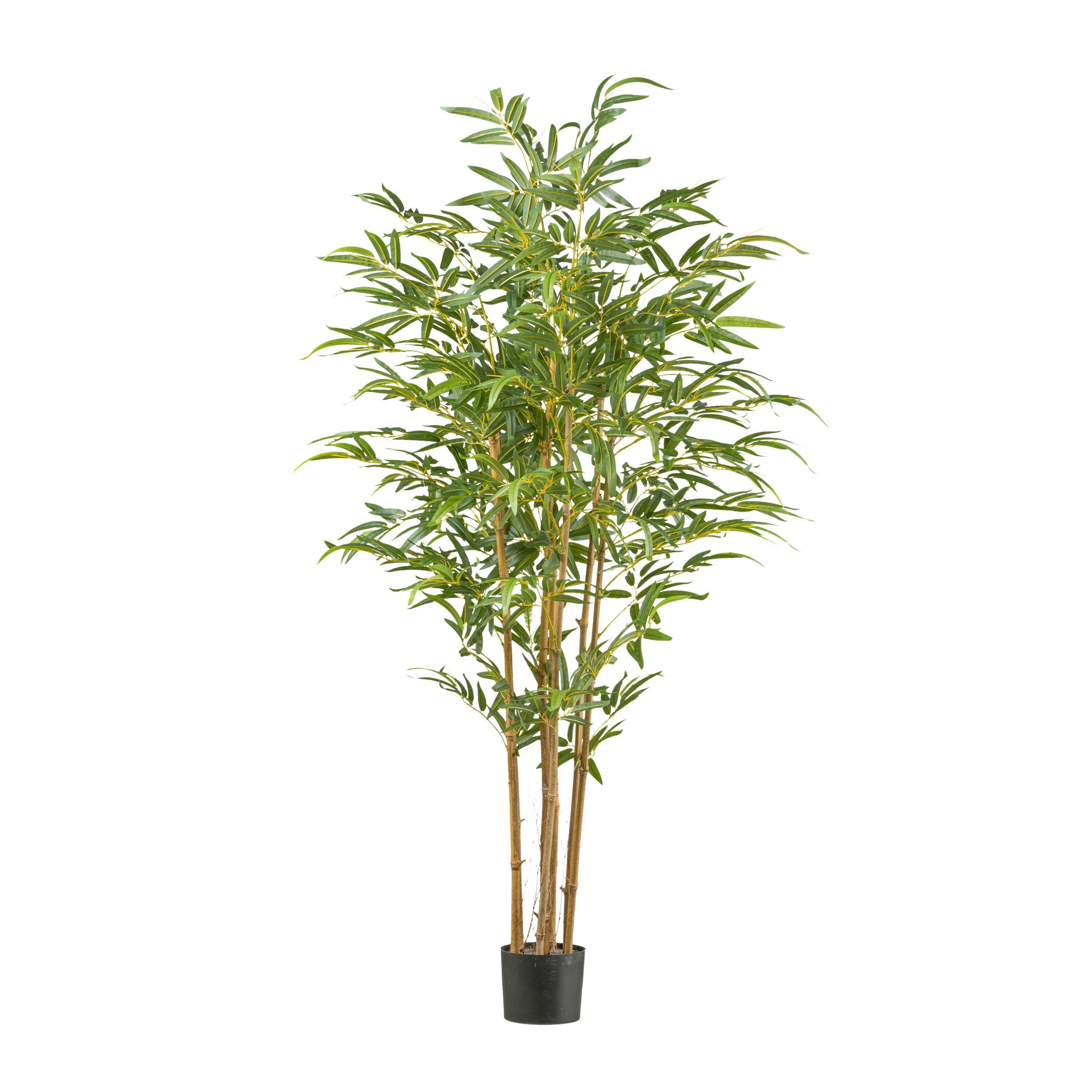 Kunstpflanze Grünpflanze H: 180 Cm - Schwarz/Naturfarben, Basics, Naturmaterialien/Kunststoff (180cm) - P & B