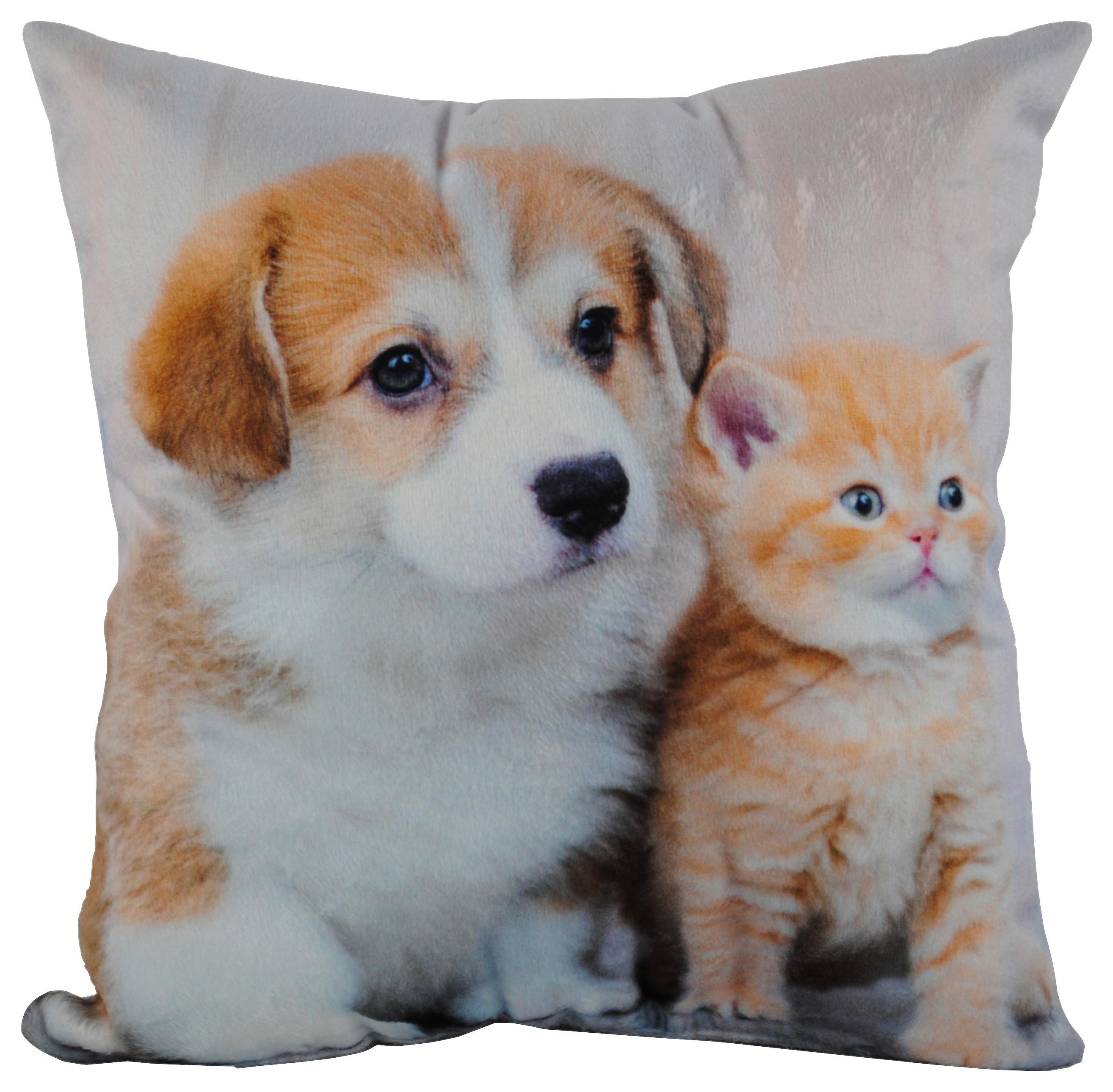 Zierkissen Xenia 25x25 Cm Samtoptik Tiermotive - Multicolor, KONVENTIONELL, Textil (25/25cm) - Ondega