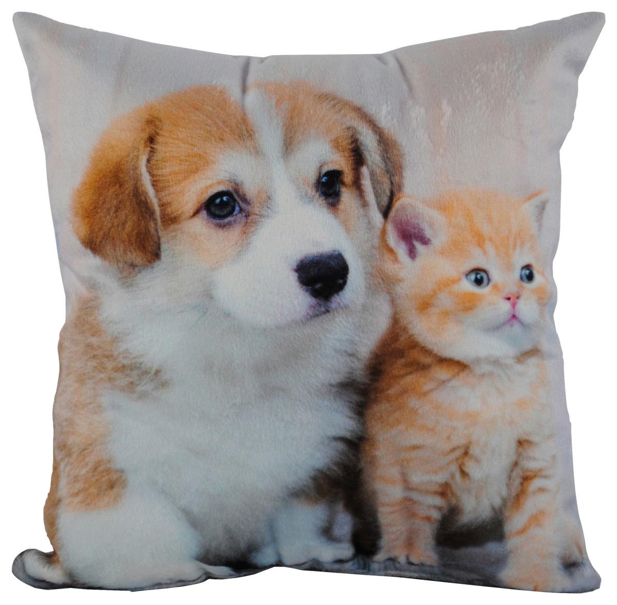 Zierkissen Xenia 25x25 Cm Samtoptik Tiermotive - Multicolor, KONVENTIONELL, Textil (25/25cm) - Ondega