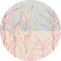 Fototapete D1-078 Grassland - Blau/Rot, Trend (125cm)