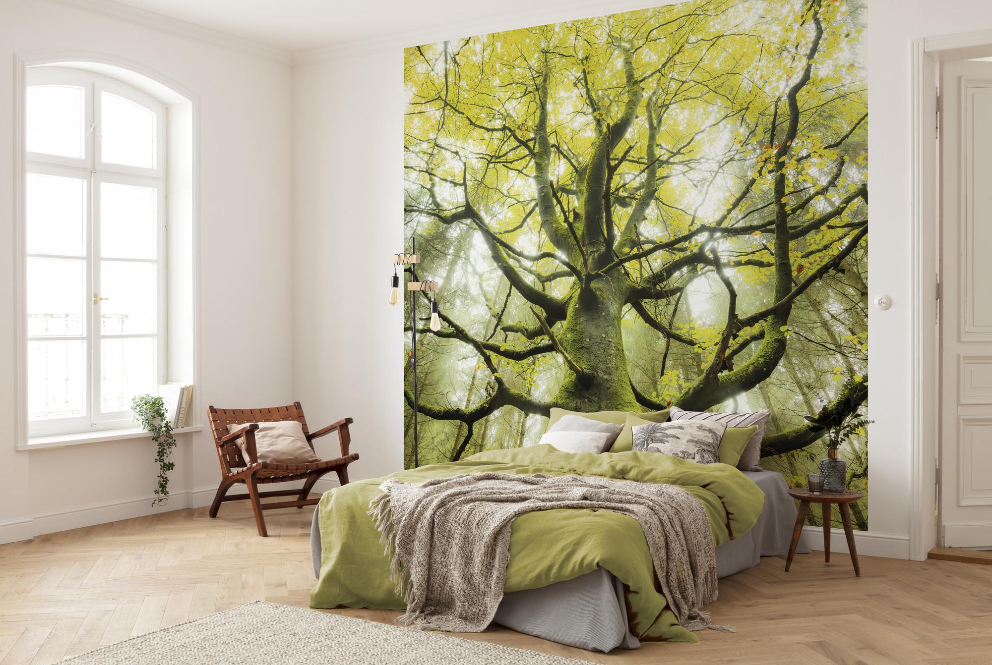 Fototapete Der Traumbaum - Grün, Trend, Textil (300/280cm)