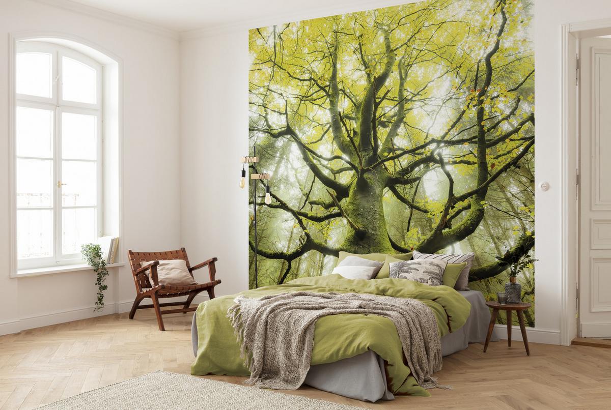 Fototapete Der Traumbaum - Grün, Trend, Textil (300/280cm)