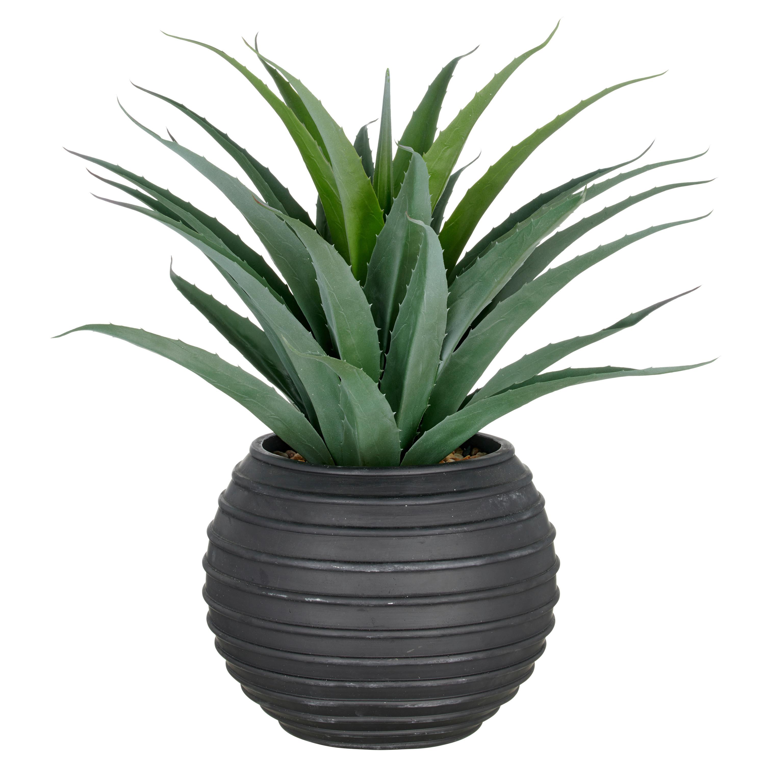 Kunstpflanze Grün Schwarz B: 40 cm - Schwarz/Grün, Basics, Kunststoff (40/80/40cm) - P & B