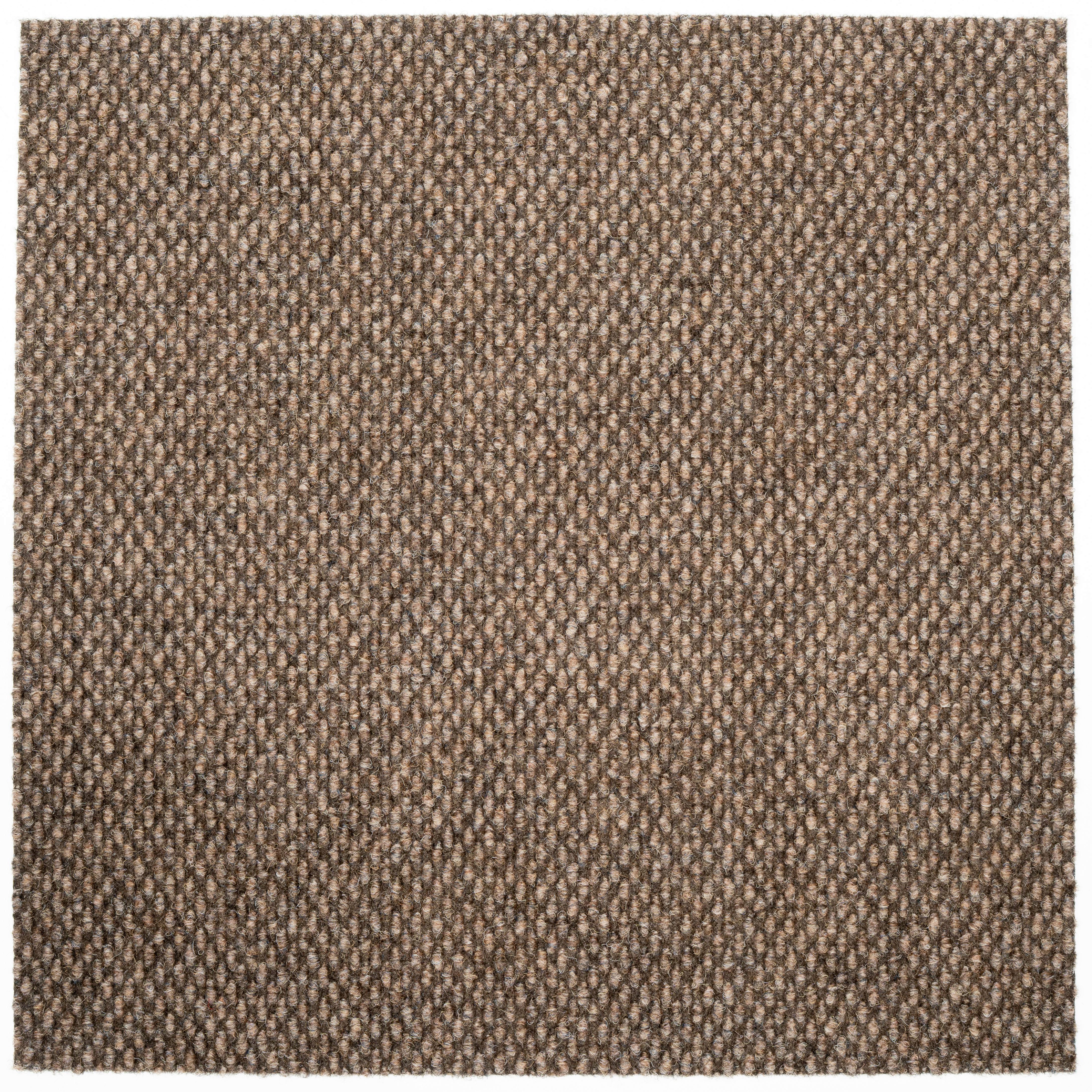 Teppichfliese Beige Calypso 50x50 cm Florhöhe 4,2 mm - Hellbraun, Basics, Textil (50/50cm)