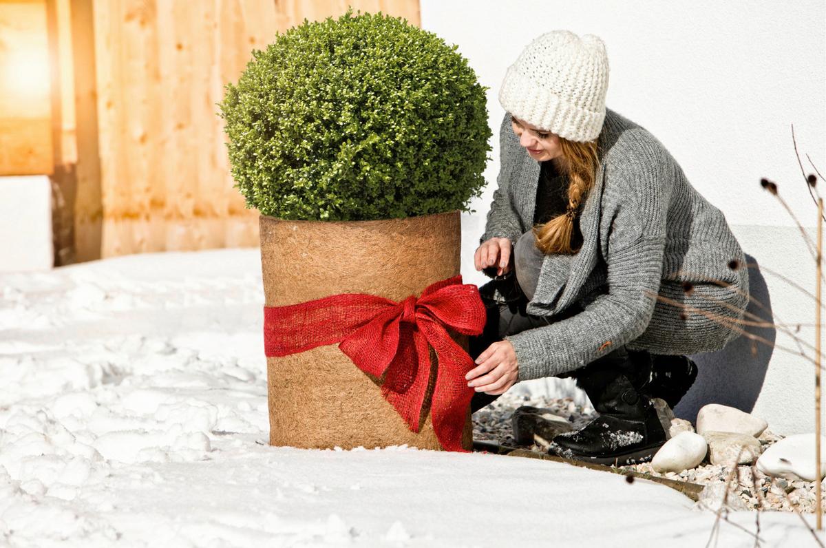 Kokos-filzmatte Bxl: 50x150 Cm - Braun, Basics, Textil (50/150cm) - Windhager