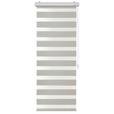 Doppelrollo Emanuel - Beige, MODERN, Kunststoff/Textil (45/160cm) - Luca Bessoni