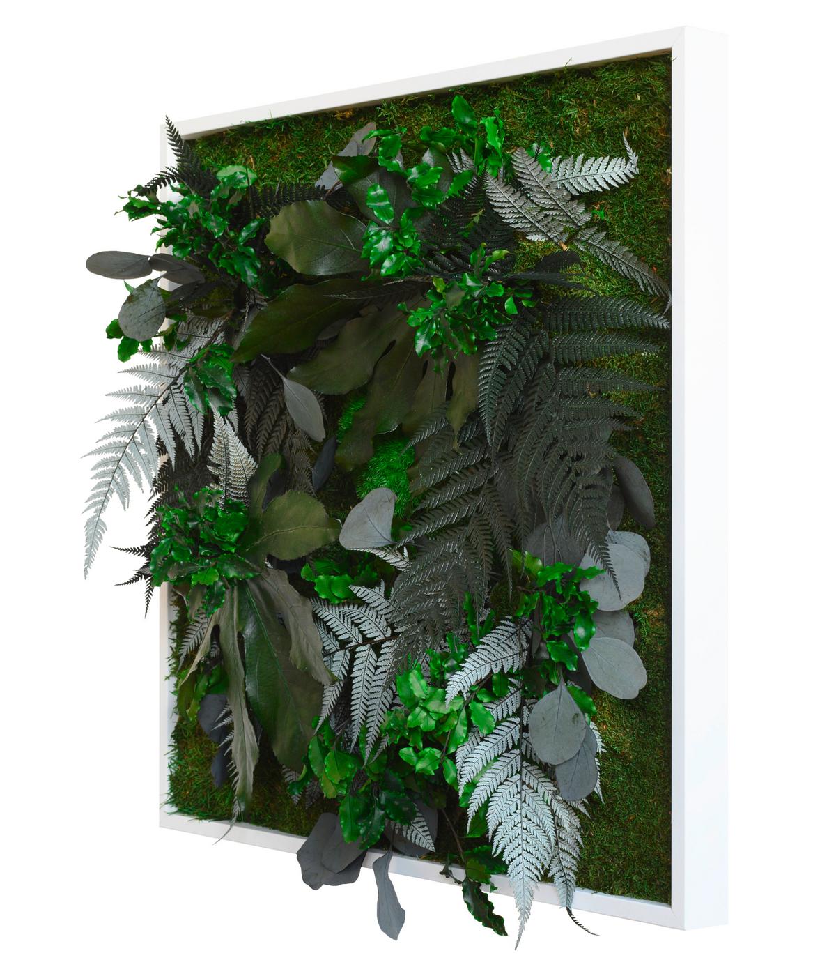 Moosbild Moos Grün B: 57 cm - Weiß/Grün, Basics, Naturmaterialien/Holz (57/27/15-17cm)