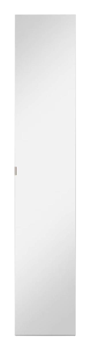 Spiegeltür Unit B:45cm - Alufarben, MODERN, Holzwerkstoff (45,4/232,6/1,8cm) - Ombra