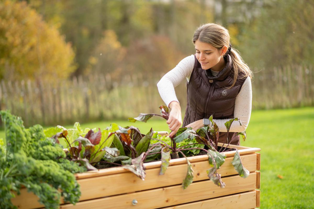 Hochbeet Holz Hochbeet Fichte XL - Fichtefarben, Basics, Holz (70/90/170cm)