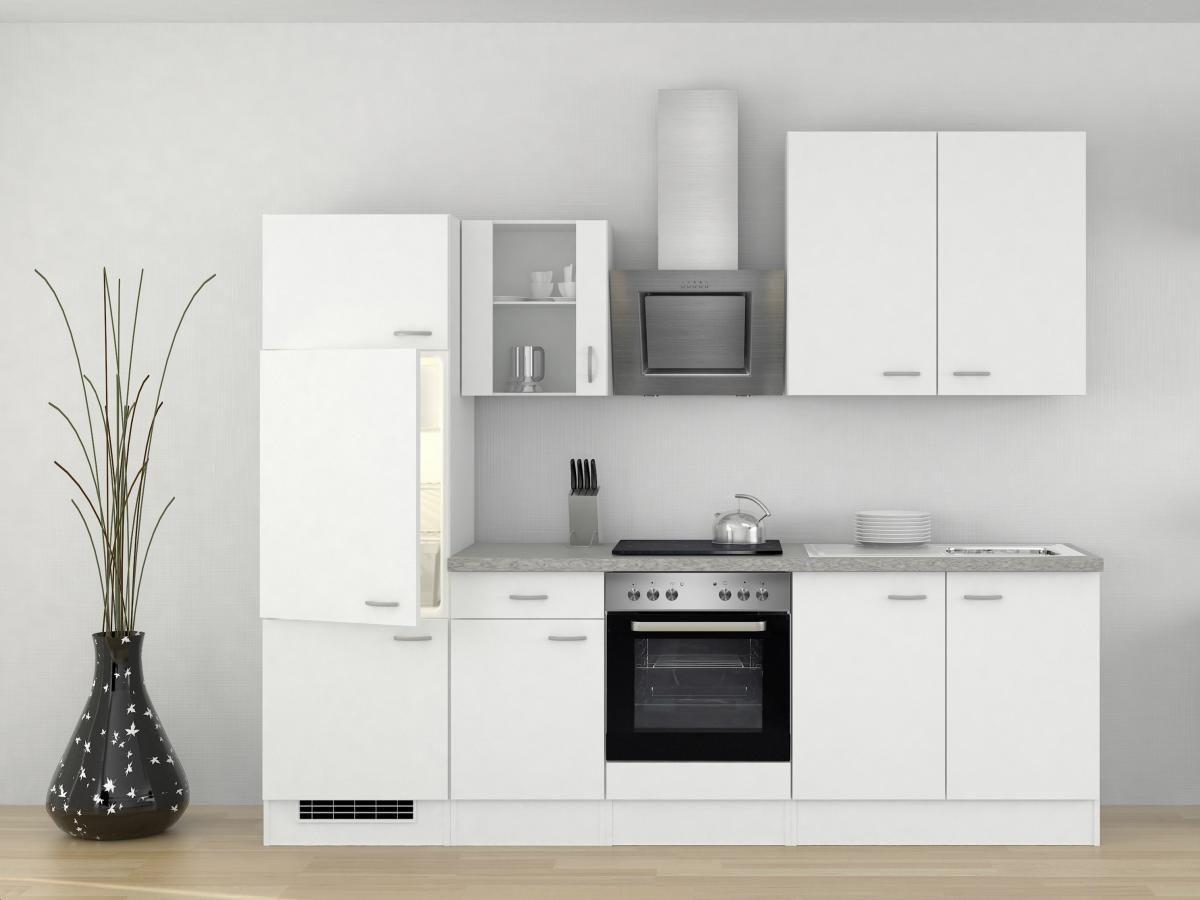 Küchenzeile Wito mit Geräten 270 cm Grau/Weiß Modern - Hellgrau/Weiß, MODERN, Glas/Holzwerkstoff (270cm) - FlexWell