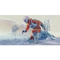 Fototapete Star Wars Hoth Battle Pilot - Multicolor, Trend, Textil (500/250cm)