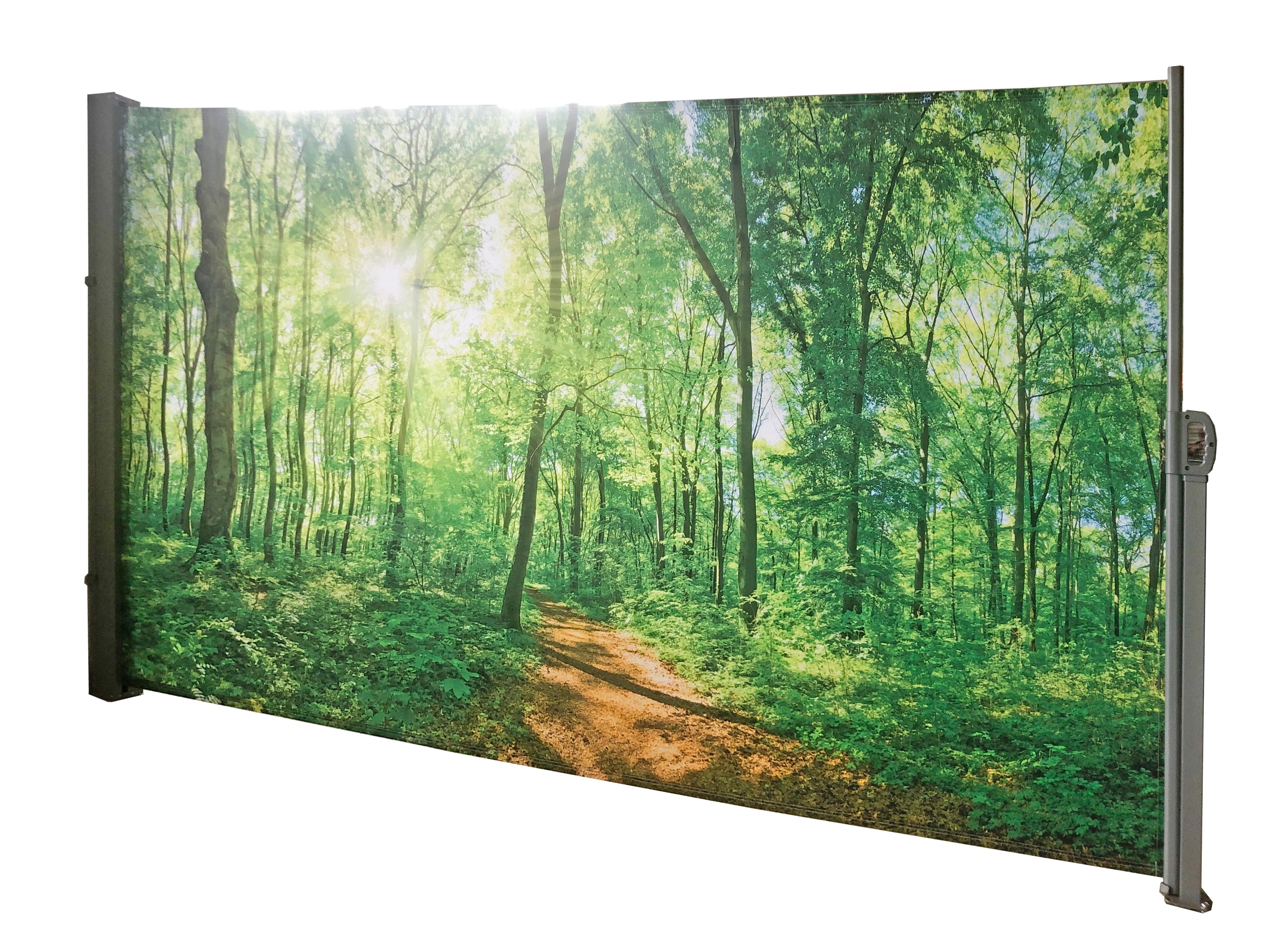 Seitenmarkise 300x160 cm Bunt Waldlichtung ausziehbar - Silberfarben/Grau, Basics, Kunststoff/Metall (300/160/9cm)