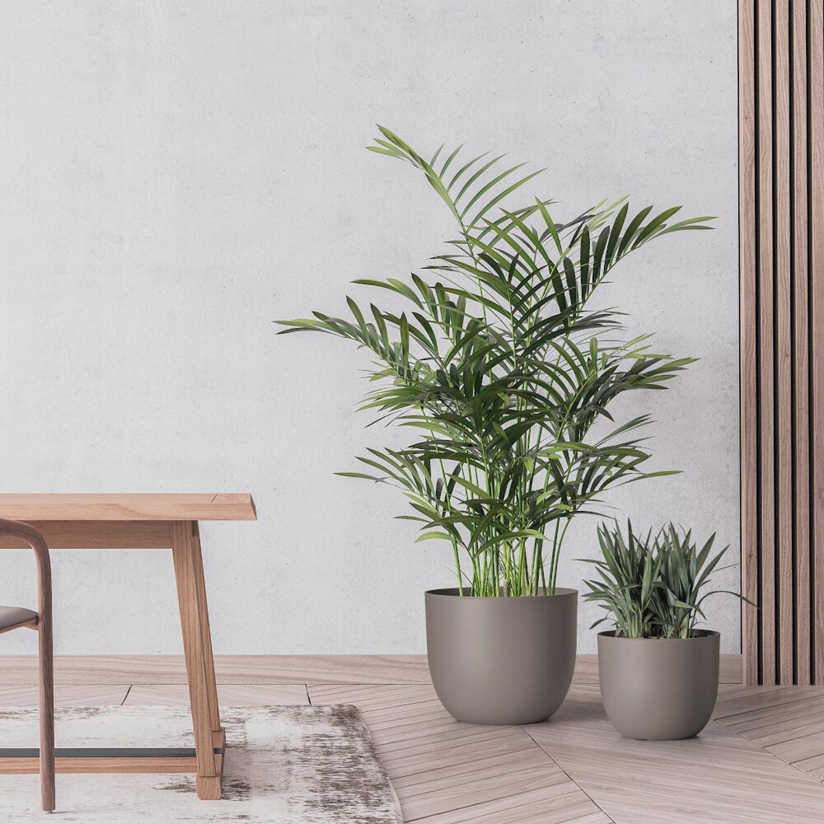 Übertopf Taupe D: 40 Cm Rund - Taupe, Basics, Kunststoff (40/32,5cm)