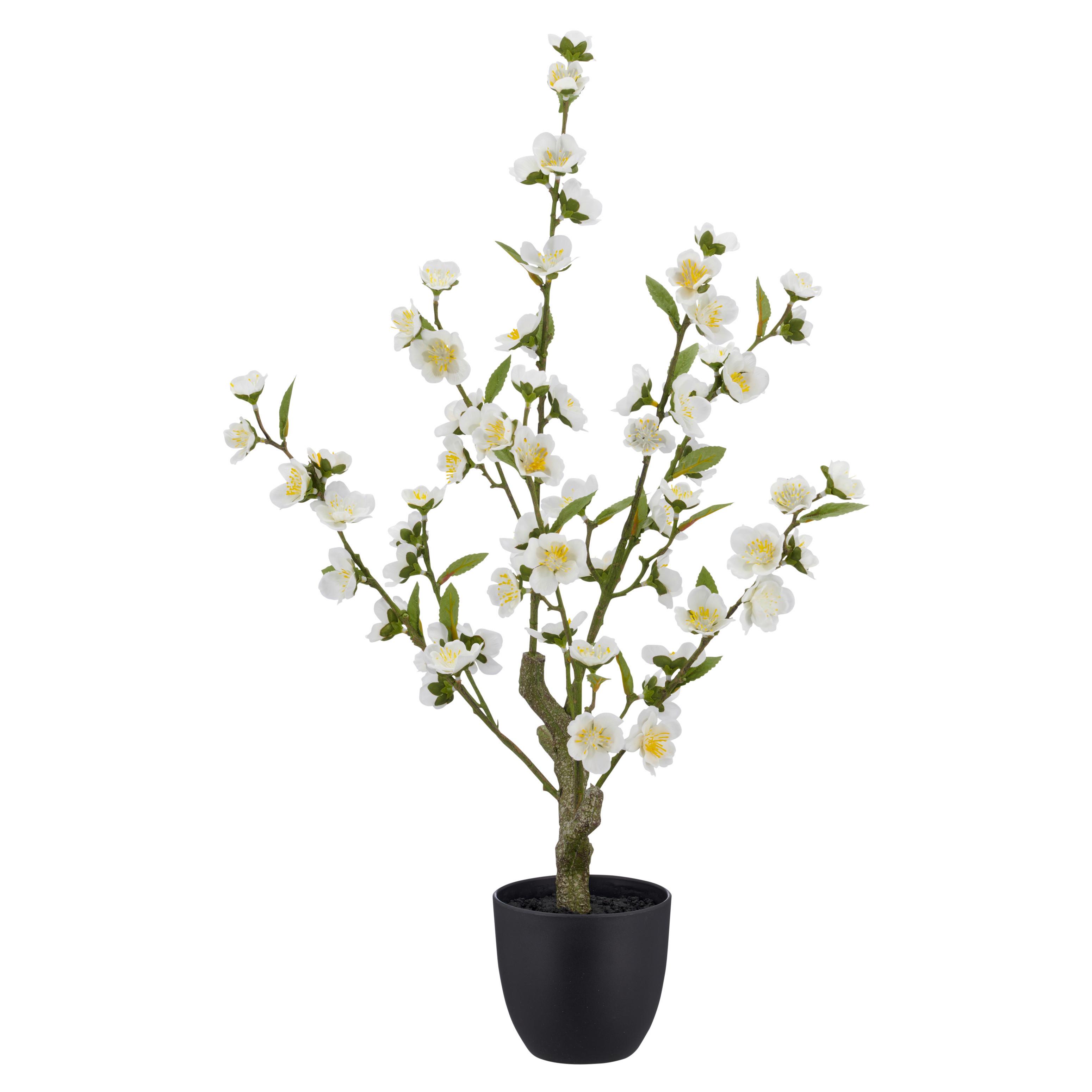 Vykvetlá větvička třešně Výška 64 cm - bílá/černá, Basics, kov/plast (64cm) - Mömax