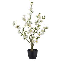 Vykvetlá větvička třešně Výška 64 cm - bílá/černá, Basics, kov/plast (64cm) - Mömax