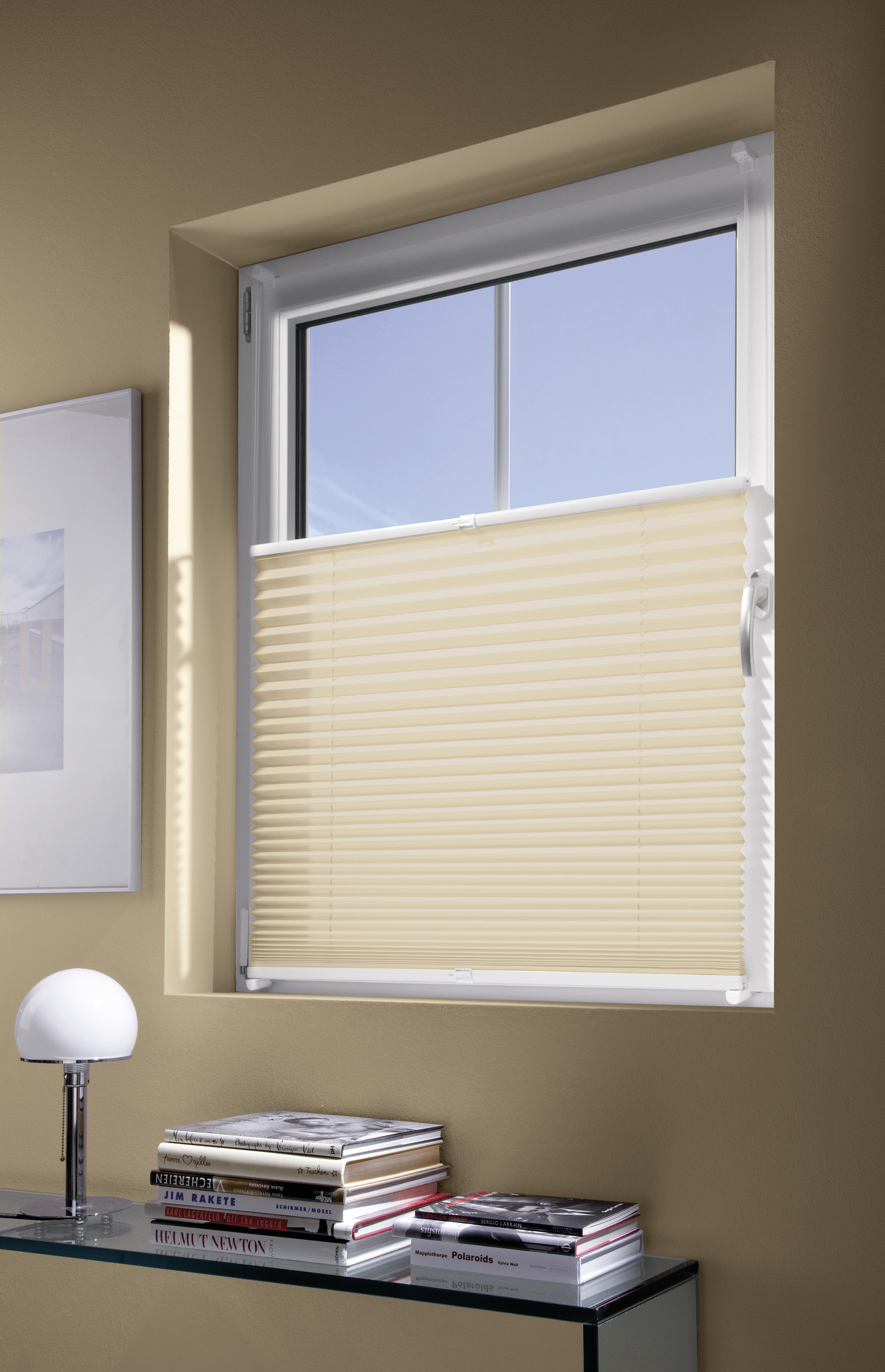 Plissee Free Sandfarben B: 60 Cm - Sandfarben, Basics, Textil (60/130cm)