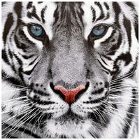 Leinwandbild Lion - Multicolor/Naturfarben, KONVENTIONELL, Holz/Textil (50/50/1,8cm) - Luca Bessoni