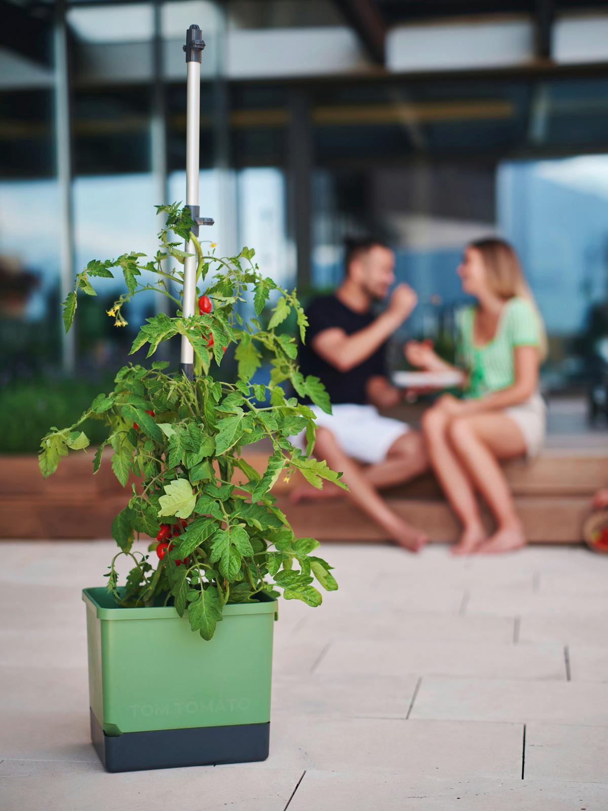 Pflanzentopf Tom Tomato Dunkelgrün - Dunkelgrün, Basics, Kunststoff (34,7/135,4/27,7cm) - Gusta Garden