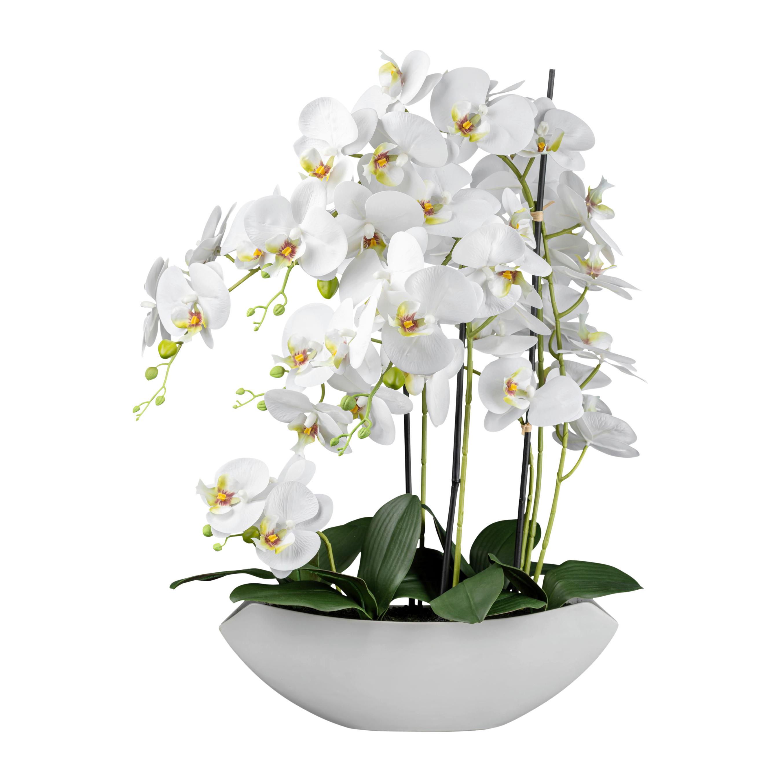 Kunstpflanze Orchideen Weiß, Topf: Weiß, H: 63 cm - Weiß/Grün, Design, Keramik/Kunststoff (63cm) - P & B