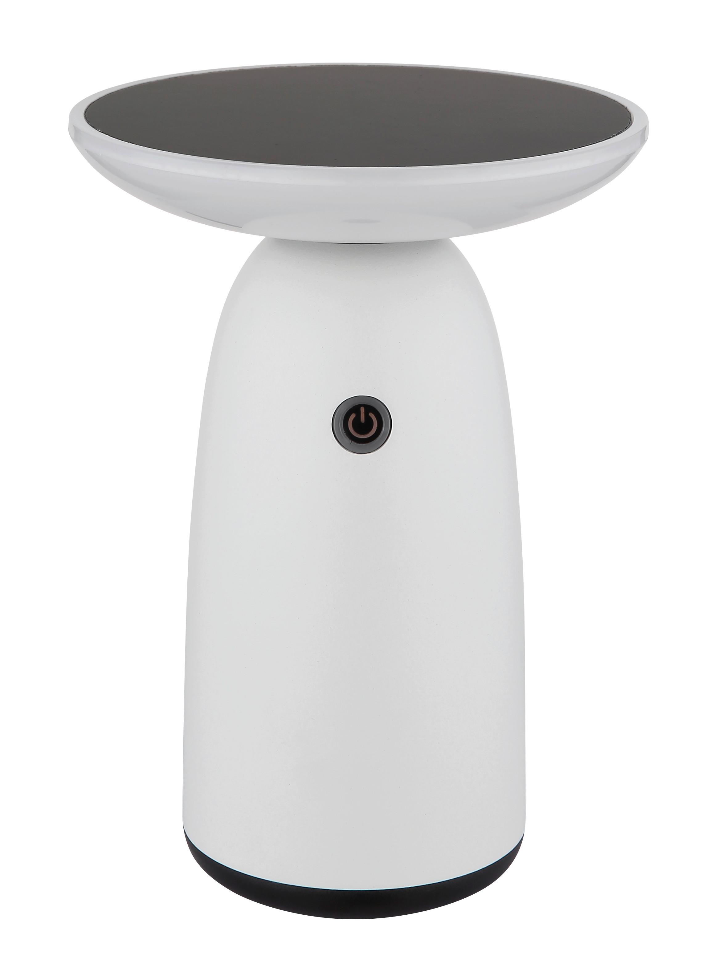 Solarleuchte Memory-Funktion - Opal/Schwarz, Design, Kunststoff/Metall (16/22,5cm) - Globo