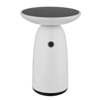 Solarleuchte Memory-Funktion - Opal/Schwarz, Design, Kunststoff/Metall (16/22,5cm) - Globo