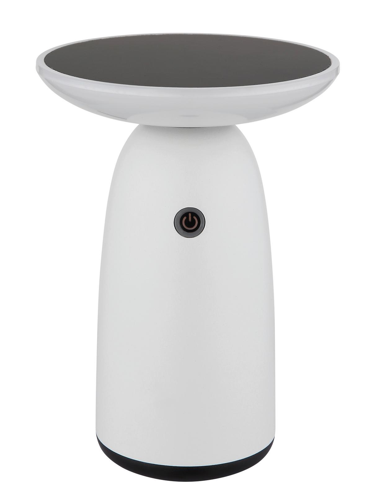 Solarleuchte Memory-Funktion - Opal/Schwarz, Design, Kunststoff/Metall (16/22,5cm) - Globo