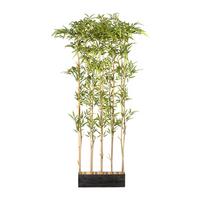 Kunstpflanze Grünpflanze H: 160 cm - Schwarz/Braun, Design, Naturmaterialien/Holz (160cm) - P & B