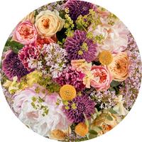 Fototapete Frescas - Multicolor, Trend (125cm)
