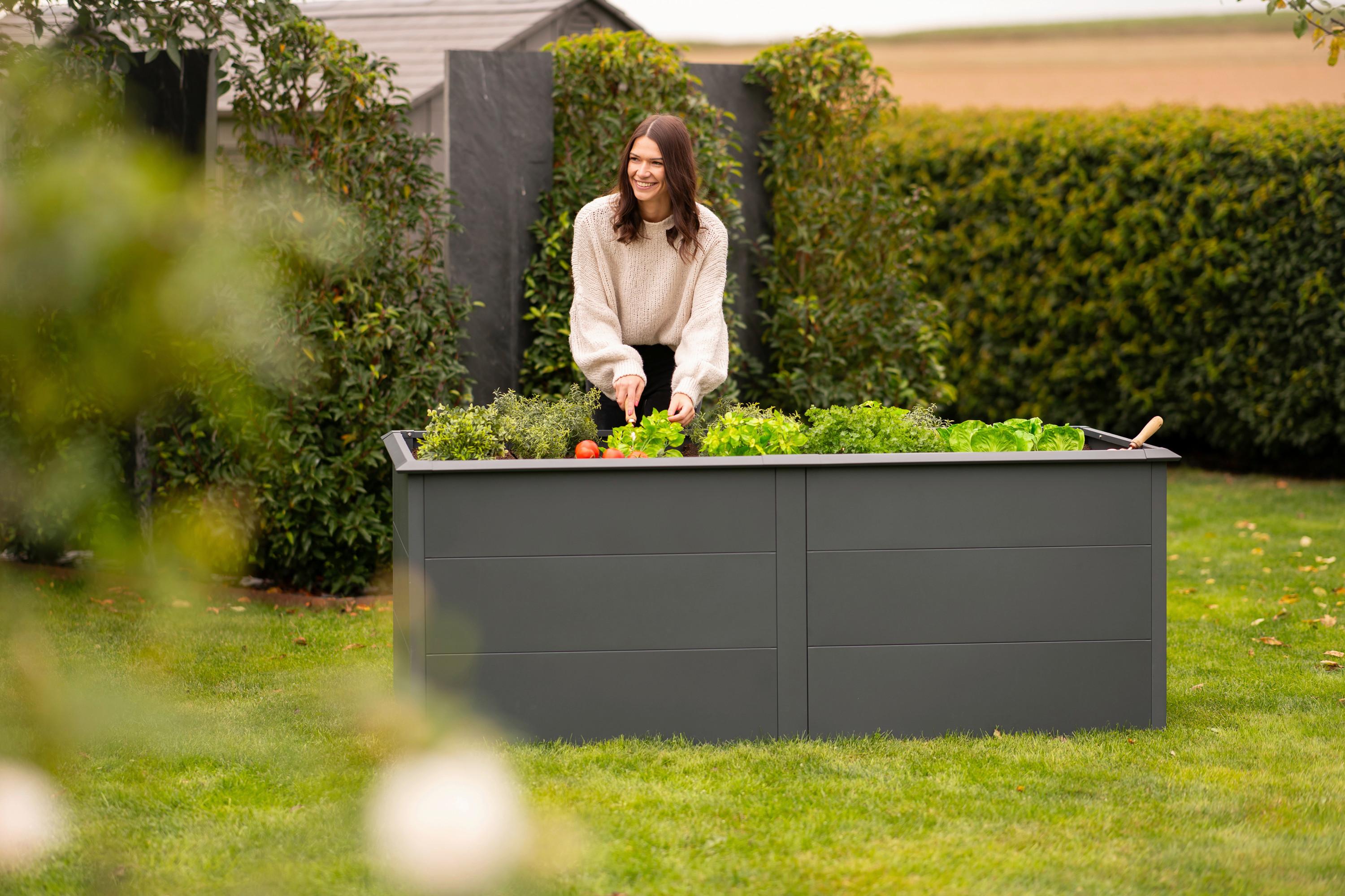 Hochbeet Primus XL - Anthrazit, KONVENTIONELL, Metall (100/200/77cm)