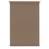Tageslichtrollo Helene Halbtransparent 45x150 cm - Taupe, MODERN, Textil (45/150cm) - Luca Bessoni