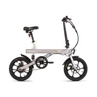 E-bike Faltrad 155e Silbern 16 Zoll, 45 Km Reichweite - Silberfarben, Basics, Metall (180/70/100cm)