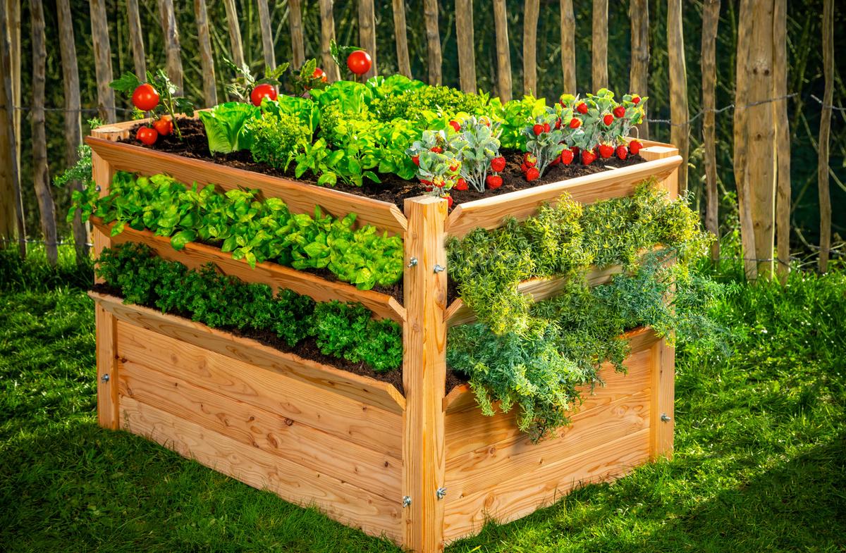 Hochbeet Echtholz Lärche 124x73x91 Cm Lärchefarben - Lärchefarben, Basics, Holz (124/73/91cm)
