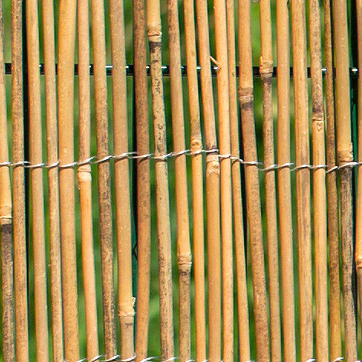 Sichtschutz Taipei Bambus - Naturfarben, Basics, Naturmaterialien (300/150cm)