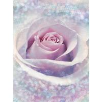 VLIESTAPETE Rose - Hellrosa/Rosa, Natur, Papier (184/248cm)