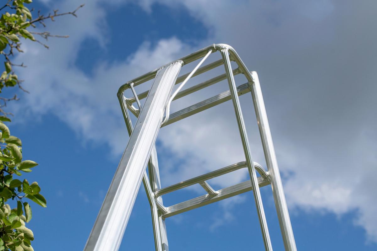 Leiter 3-Holm-Gartenleiter 360cm - Silberfarben, Basics, Metall (272/360/147cm)