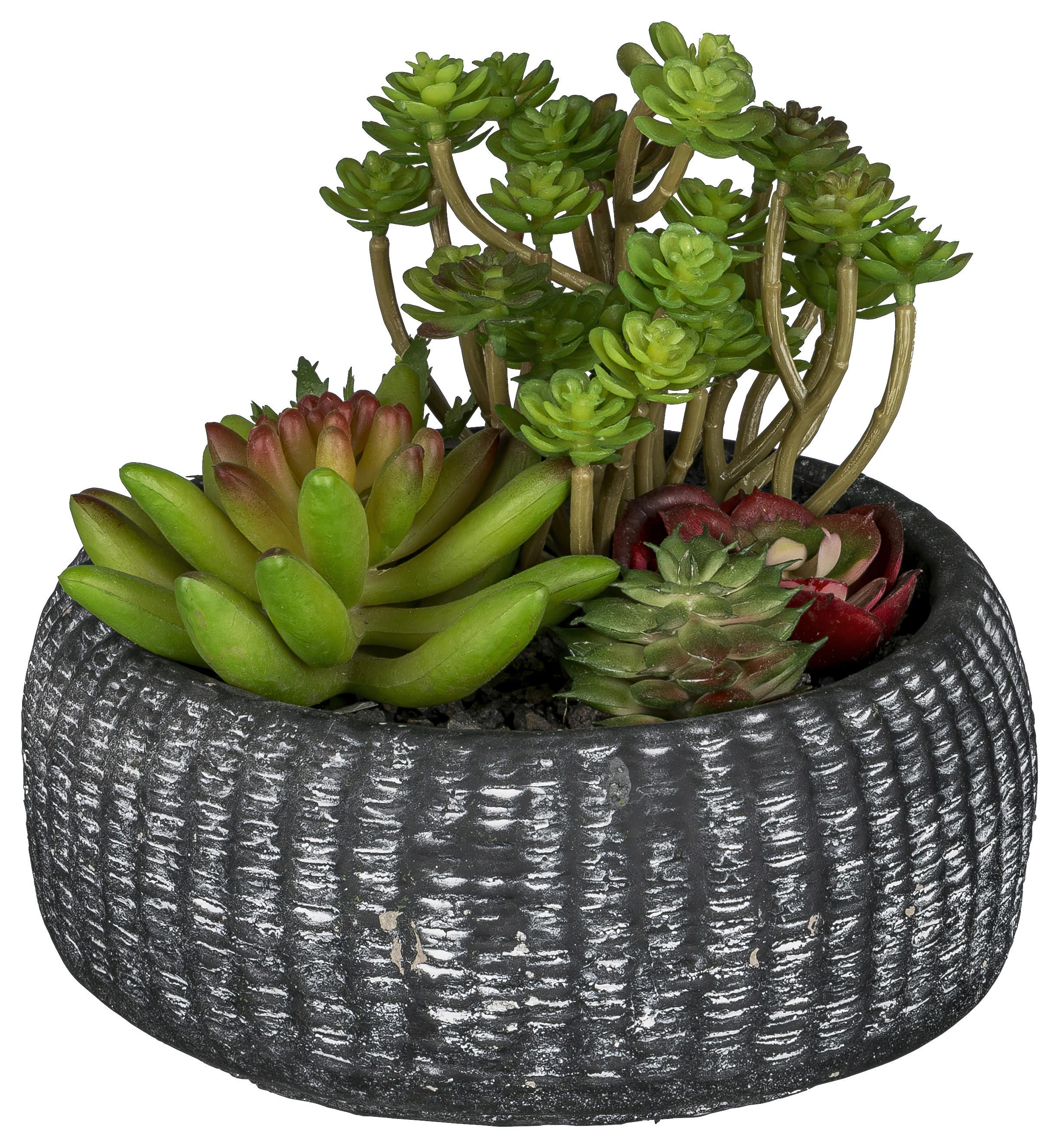 Kunstpflanze Sukkulenten Anthrazit/Grün, 16 cm - Anthrazit/Grün, Design, Keramik/Kunststoff (16cm)