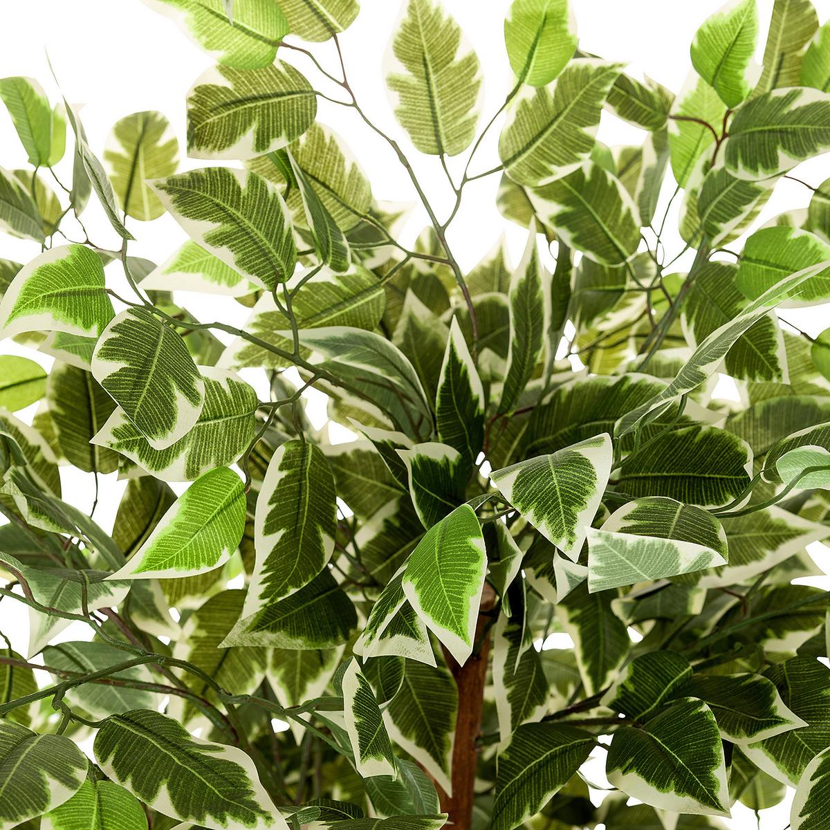 Kunstpflanze Ficus - Schwarz/Braun, Basics, Kunststoff (80/165/80cm) - MID.YOU