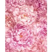 Vliestapete Soave - Rosa, Basics (200/250cm) - Komar