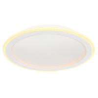 Led-deckenleuchte 48917-24rgb - Opal/Weiß, Trend, Kunststoff/Metall (40/5cm) - Globo